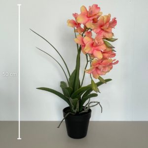 Apricotfarbene Orchideenachbildung