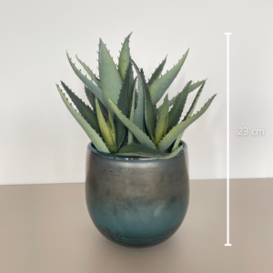 Aloe Vera Nachbildung
